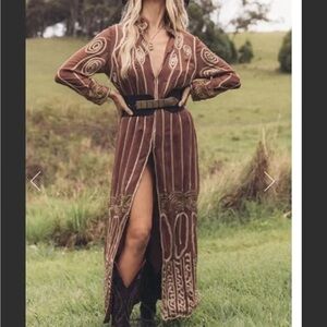 Chasing Unicorns Tiger in the Spotlight